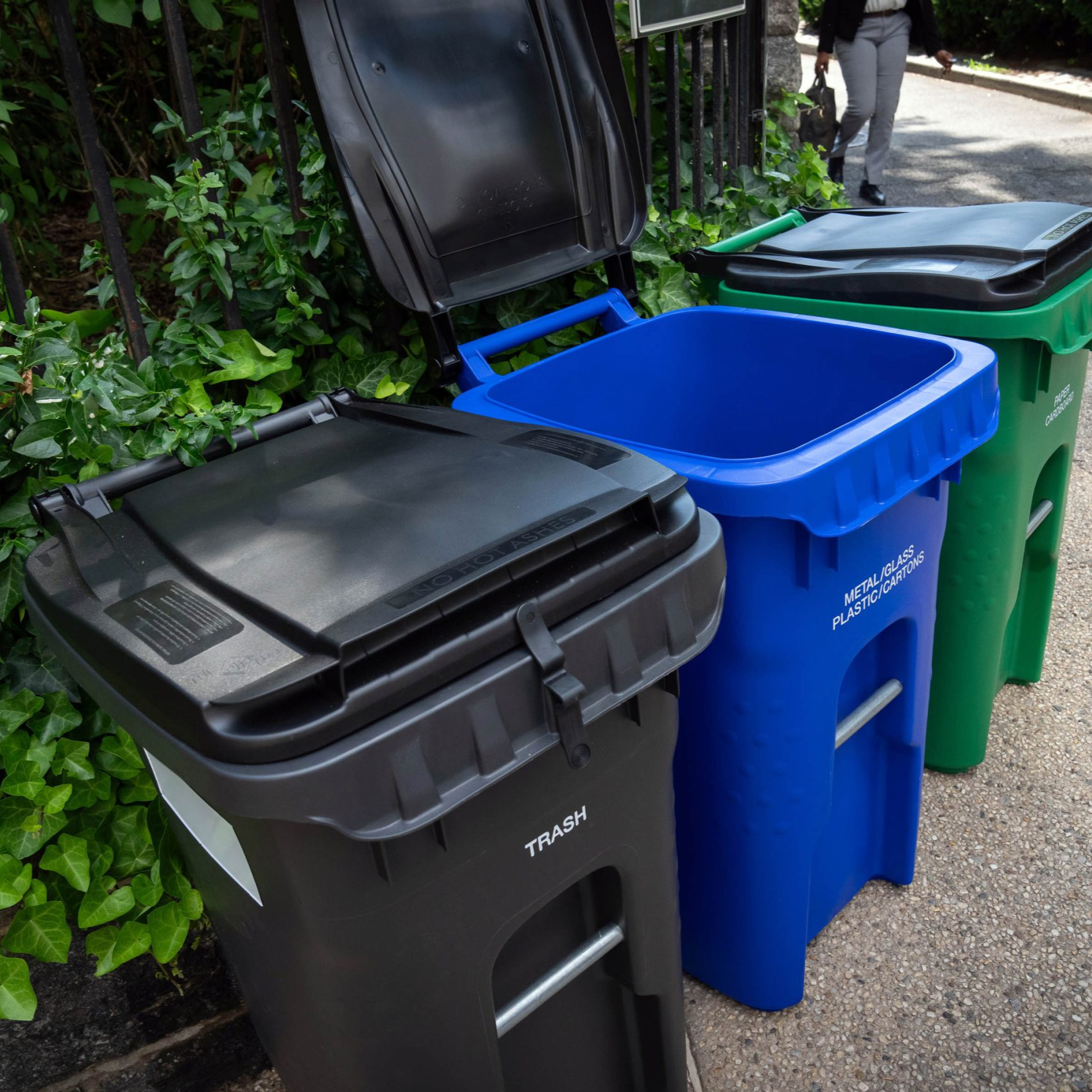 Photo Varieties Of Dishes  - Vegan X Webflow Template